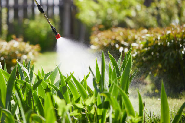 24/7 Emergency Fumigation Services experts in Winterset, IA