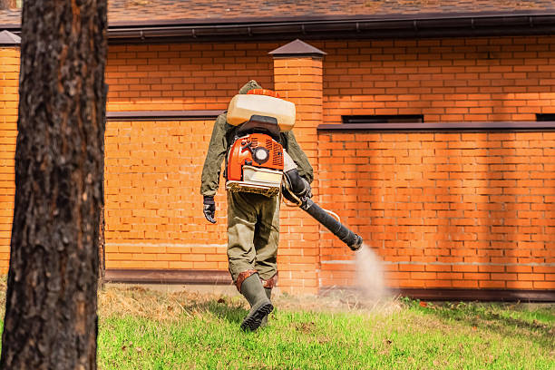 Trusted Termite Control service in Winterset, IA - Nex Pest Control